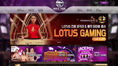 먹튀검증 먹튀사이트 백호 hff33.com 온카시티