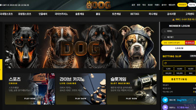 먹튀검증 먹튀사이트 도그카지노 DOG-888.COM 온카시티